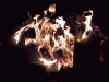 Klicken zum betrachten 2012_0525_225922_t1.gif