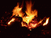 Klicken zum betrachten 2012_0525_230306_t1.gif